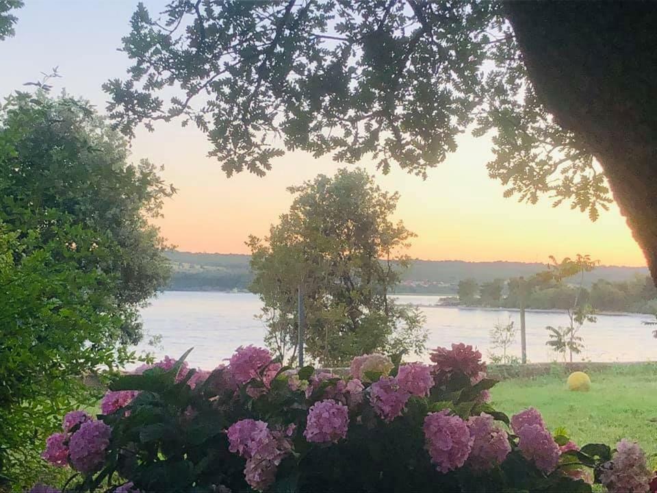 Apartmani Lovre Posedarje Exteriér fotografie